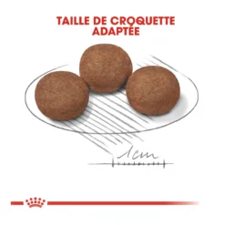 Royal Canin Medium Junior Pour Chien 15kg -Magasin De Fournitures Pour Animaux Et Chiens De Qualité royal canin medium puppy croquettes pour chiot medium puppy 4