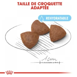 Royal Canin Medium Starter Mother & Babydog - 15Kg -Magasin De Fournitures Pour Animaux Et Chiens De Qualité royal canin medium starter medium starter 2
