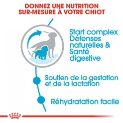 Royal Canin Medium Starter Mother & Babydog - 15Kg -Magasin De Fournitures Pour Animaux Et Chiens De Qualité royal canin medium starter medium starter 3