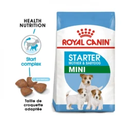 Royal Canin Mini Starter Mother & Babydog - 8.5Kg -Magasin De Fournitures Pour Animaux Et Chiens De Qualité royal canin mini starter mini starter 1