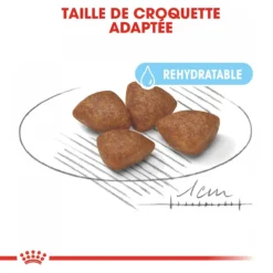 Royal Canin Mini Starter Mother & Babydog - 8.5Kg -Magasin De Fournitures Pour Animaux Et Chiens De Qualité royal canin mini starter mini starter 2