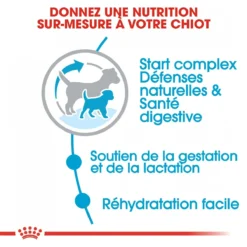 Royal Canin Mini Starter Mother & Babydog - 8.5Kg -Magasin De Fournitures Pour Animaux Et Chiens De Qualité royal canin mini starter mini starter 3