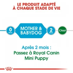 Royal Canin Mini Starter Mother & Babydog - 8.5Kg -Magasin De Fournitures Pour Animaux Et Chiens De Qualité royal canin mini starter mini starter 4