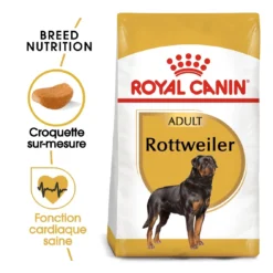 Royal Canin Rottweiler Adult Pour Chien 12kg -Magasin De Fournitures Pour Animaux Et Chiens De Qualité royal canin rottweiler adult rottweiler 1