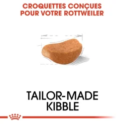 Royal Canin Rottweiler Adult Pour Chien 12kg -Magasin De Fournitures Pour Animaux Et Chiens De Qualité royal canin rottweiler adult rottweiler 3