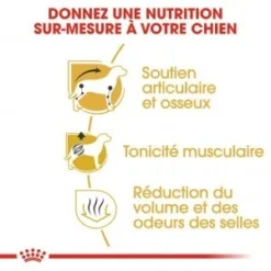 Royal Canin Teckel Adult Pour Chien 7,5kg -Magasin De Fournitures Pour Animaux Et Chiens De Qualité royal canin teckel adult dachshund teckel dachshund 1